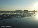 DSCF3325