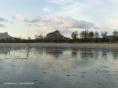 DSCF3334