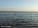 DSCF3337