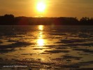 DSCF3374