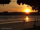 DSCF3397