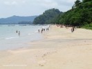 DSCF3495