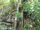 DSCF3497