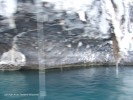 DSCF2777