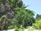 DSCF2865