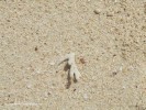 DSCF2948