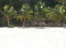 DSCF2954