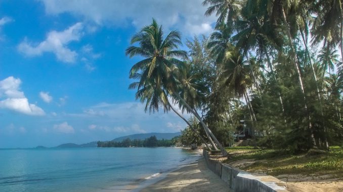 lipa-noi